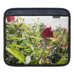 Red Roses In The Back iPad Sleeve
