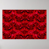 Red roses posters, prints, pictures, photos,