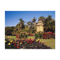 Red Royal Botanical Garden, Sydney, Australia flow Post Cards