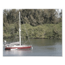 Red Sailboat on River Trees Behind Photograph