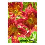 Red Salpiglossis Sinuata Flower Card