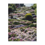 Red San Francisco, California flowers Post Card