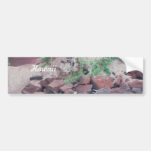 Red Sand Beach Bumper Sticker