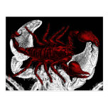 Red Scorpion: Halloween - Postcard