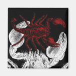 Red Scorpion - Magnet #1