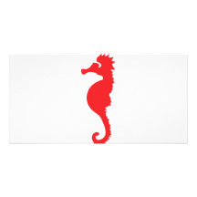 red sea horse icon photo cards