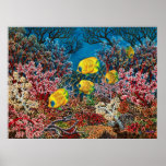 Red Sea Print