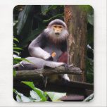 Red Shanked Douc Langur Monkey Mousepad