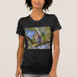 Red Shouldered Hawk T Shirts