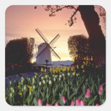 Red Silhouette of windmill and tulips, Washington Square Sticker