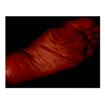RED SOLES POSTCARDS