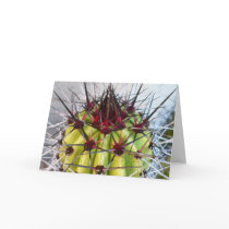 Red Spines Products Cards