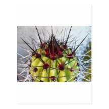 Red Spines Products Post Cards