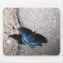 Red Spotted Admiral Butterfly mousepads