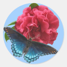 Red-spotted Purple on Camellia Sticker