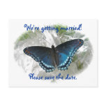 Red Spotted Purple Save the Date Wedding Postcard