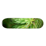 Red Spruce Sprouts Skateboards