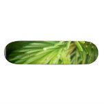 Red Spruce Sprouts Tree Custom Skate Board