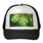 Red Spruce Sprouts Tree Mesh Hats