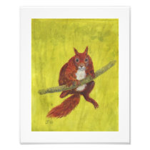 Red Squirrel 2, painting Photographic Print