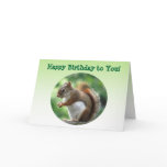 Red Squirrel Birthday Greeting Card