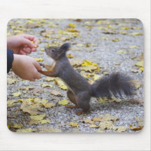 Red Squirrel Mousepads