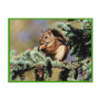 Red Squirrel Postcard