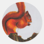 Red Squirrel Products Round Sticker