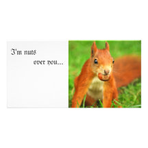 Red Squirrel with a nut, I'm nuts over you... Photo Cards
