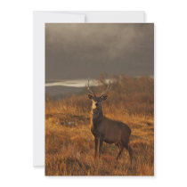 Red Stag Invitation