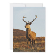 Red Stag Invitation