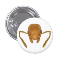 red stinging ant button