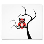 Red Sugar Skull Owl in Tree Photo Enlargement