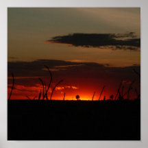 Red Sun Print