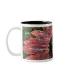 Red Sunflower 09 Painting Mug Watercolor Art