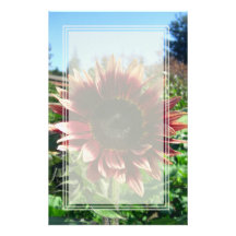 Red Sunflower Blank Stationery