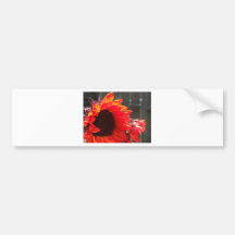 Red Sunflower Bumper Sticker