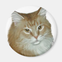Red Tabby Maine Coon Fridge Magnet