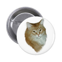 Red Tabby Maine Coon Pinback Buttons