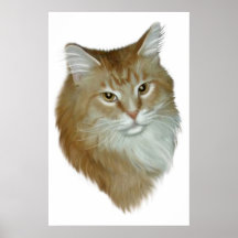 Red Tabby Maine Coon Poster