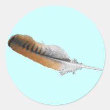 Red-tail Hawk feather Sticker
