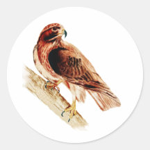 Red Tail Hawk Stickers