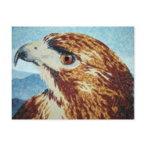 Red-tail Hawk textile Post Card