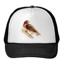 Red Tail Hawk Trucker Hat