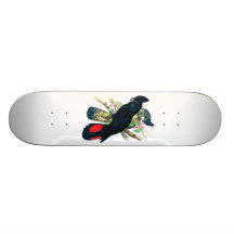 Red tailed, Black (Banksian) Cockatoos. Skate Board