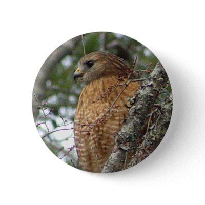 Red Tailed Hawk Button by natures_edge