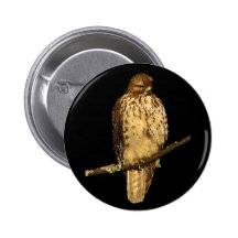 Red Tailed Hawk Button
