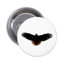 Red-tailed Hawk Buttons
