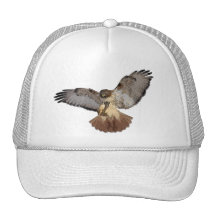 Red-tailed Hawk Cap Mesh Hats