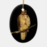 Red Tailed Hawk Christmas Tree Ornament